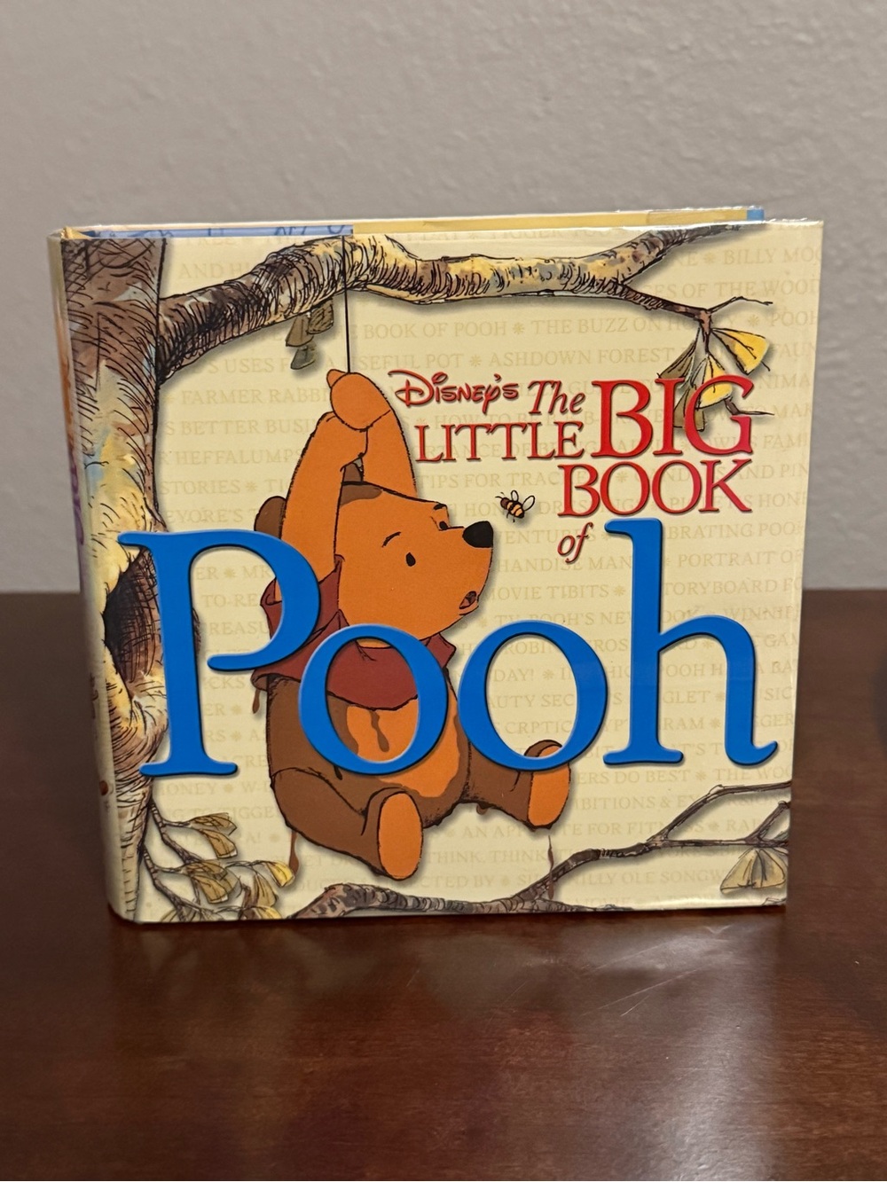 Disneys the little big book of Pooh